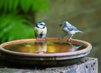 Ile mówi 2 letnie dziecko?