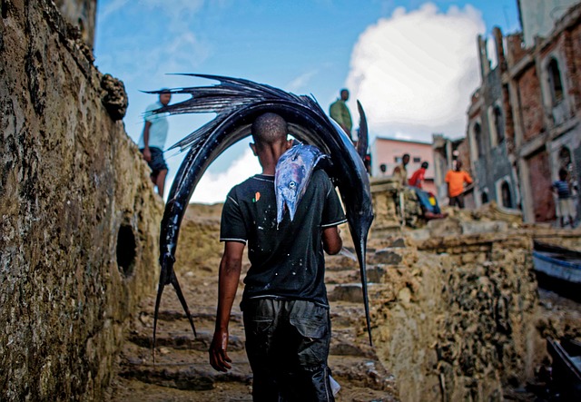Jak zejść z wózkiem po schodach? Jak zejść z wózkiem po schodach?