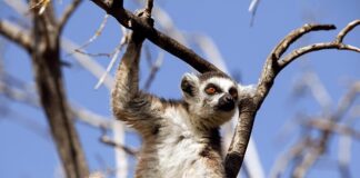 Jak reagować na złe zachowanie dwulatka?