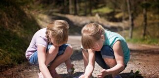 Z czego zrobić bazie?