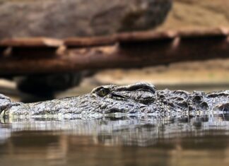 Jakie są zasady dobrego wychowania?