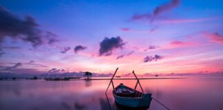 Czy kanapa i krzesła muszą być w tym samym kolorze?