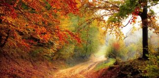 Do którego roku życia dziecko powinno pić mleko?