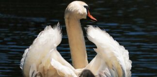 Ile czasu dziecko może być w foteliku?