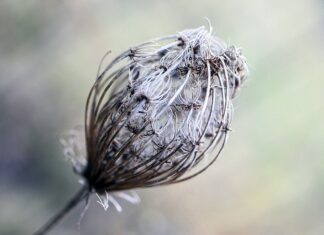 Co możemy zrobić z bibuły? Co możemy zrobić z bibuły?