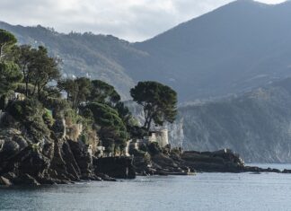 Ile kosztuje prywatny basen?