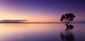 Jak często wymieniać wodę w basenie dla dzieci?