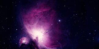 Co dla dziecka do nauki pływania?