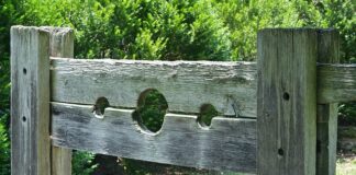 Jak karać 2 letnie dziecko?