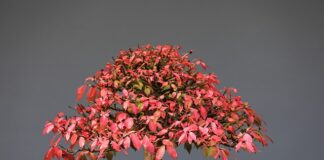 Jakie gryzaki dla niemowląt?