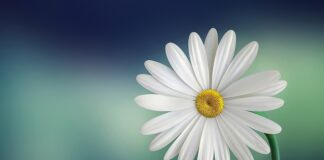 Jak zrobić biały beton?