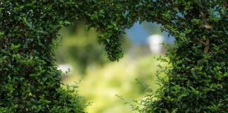 Co na zielone dno w basenie?