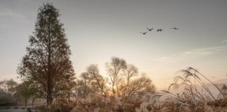 Co przynieść jako gość?