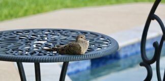 Czy po basenie można iść na spacer?