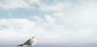 Jak uspokoić płaczące dwuletnie dziecko?