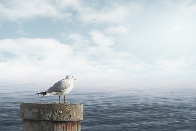 Jak uspokoić płaczące dwuletnie dziecko? Jak uspokoić płaczące dwuletnie dziecko?