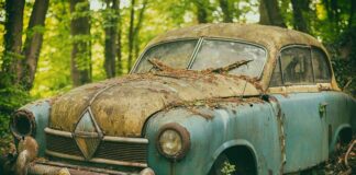 Jak zachowuje się odrzucone dziecko?