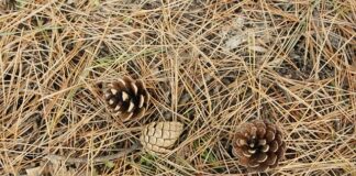 Czy dziecko powinno pić przez słomkę?