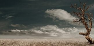 Od jakiego wieku suchy basen?