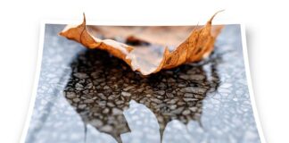 Jaki piasek do piaskowania Leroy Merlin?