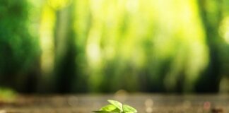 Jak zrobić własny piasek kinetyczny?