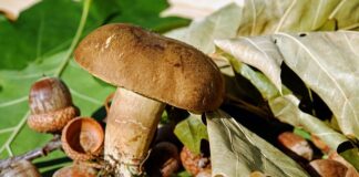 Czy w ciąży ciemnieją wargi sromowe?