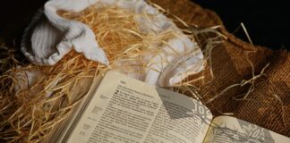 Ile pieluch tetrowych do szpitala?