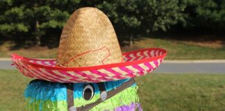 Ile kosztuje piniata na urodziny?