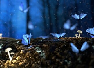 Czym malować drewno dla dzieci?