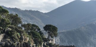 Ile kosztuje worek z piaskiem?