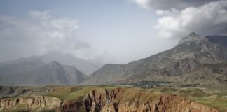 Czy Pantsy są dobre?