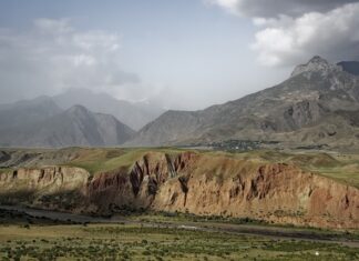 Czy Pantsy są dobre?