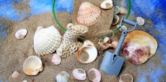 Ile kosztuje 1 tona piachu?