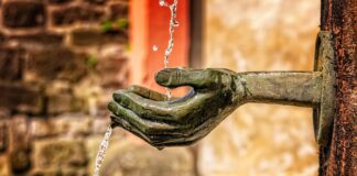 Jak czyścić uszy 6 miesięcznemu dziecku?