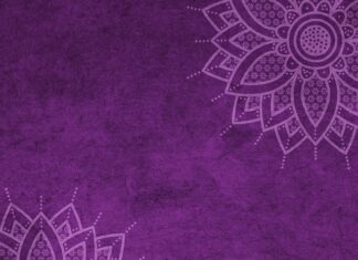 Jak uniknąć mandatu za brak pasów?