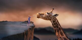 Czy po zakończeniu karmienia piersią się chudnie?