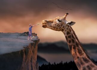 Czy po zakończeniu karmienia piersią się chudnie? Czy po zakończeniu karmienia piersią się chudnie?