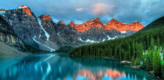 Jak usunąć kamień na zębach u dzieci?