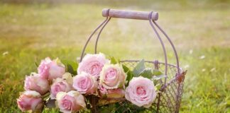 Jaka piłka do kosza na orlik?