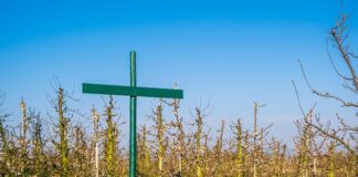 Czy regulamin placu zabaw jest obowiązkowy?