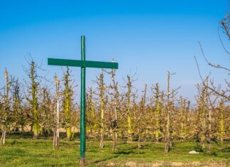 Czy regulamin placu zabaw jest obowiązkowy?