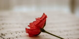 Komu przysługują bezpłatne wyroby medyczne?