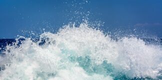 Co to znaczy Lazura do drewna?