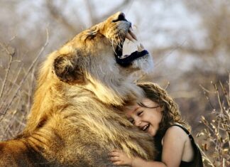 Co daje zabawa piaskiem kinetycznym? Co daje zabawa piaskiem kinetycznym?