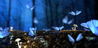 Czym zabezpieczyć drewno dla dzieci?